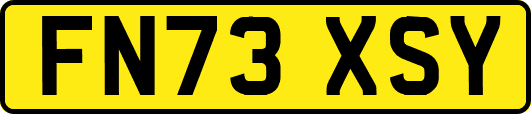 FN73XSY