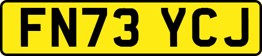 FN73YCJ