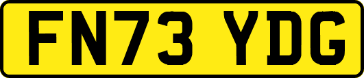 FN73YDG