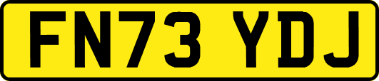 FN73YDJ