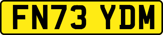 FN73YDM