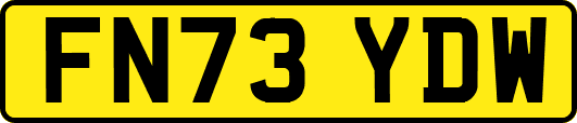 FN73YDW