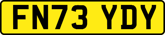 FN73YDY