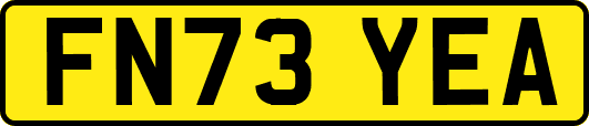 FN73YEA