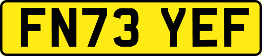 FN73YEF