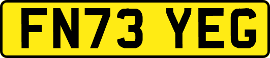 FN73YEG