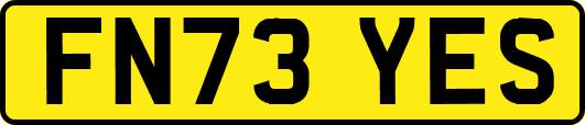 FN73YES