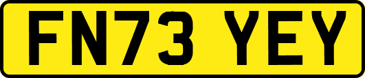 FN73YEY