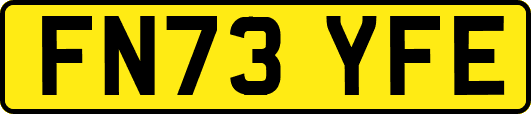 FN73YFE