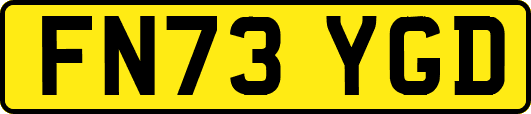 FN73YGD