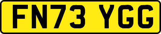 FN73YGG