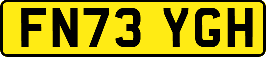 FN73YGH