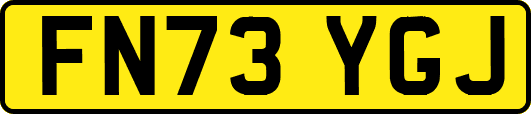 FN73YGJ