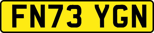 FN73YGN
