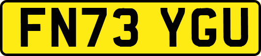 FN73YGU