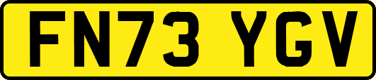 FN73YGV