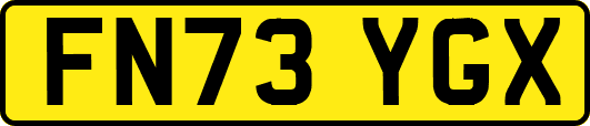 FN73YGX
