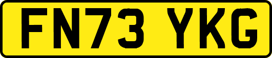 FN73YKG
