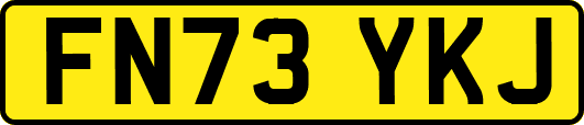 FN73YKJ