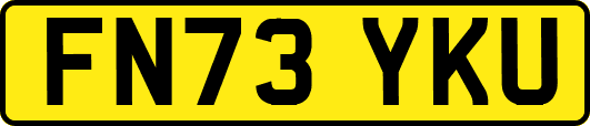 FN73YKU