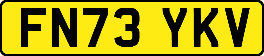 FN73YKV