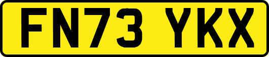 FN73YKX