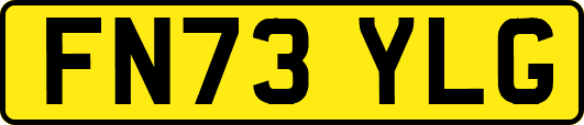 FN73YLG