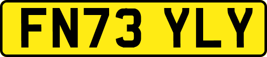 FN73YLY