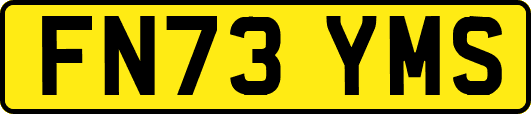 FN73YMS