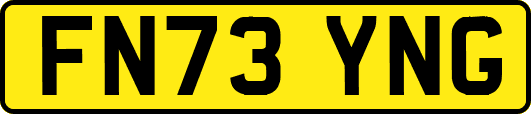 FN73YNG