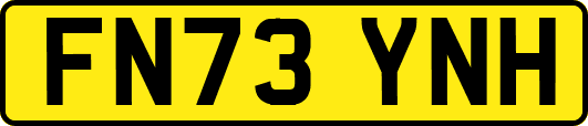 FN73YNH