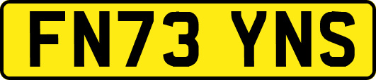 FN73YNS