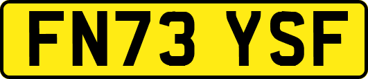 FN73YSF