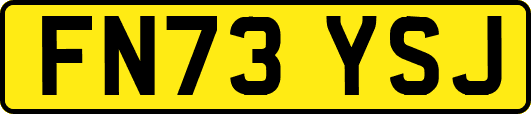 FN73YSJ