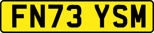 FN73YSM
