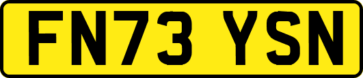 FN73YSN