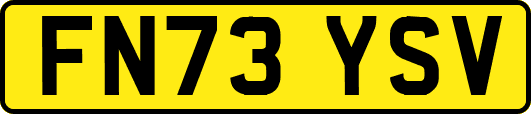 FN73YSV