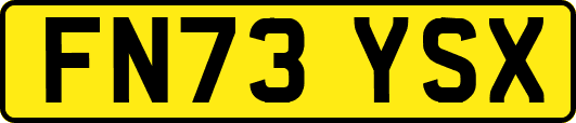 FN73YSX