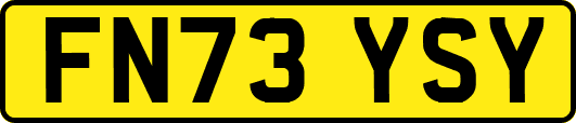 FN73YSY