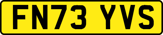 FN73YVS