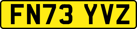 FN73YVZ