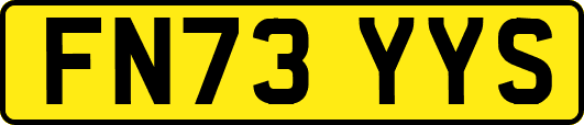 FN73YYS