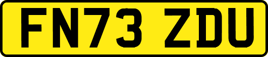 FN73ZDU