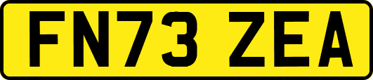 FN73ZEA
