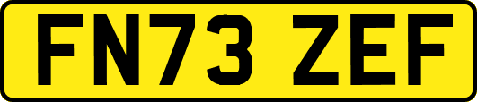 FN73ZEF