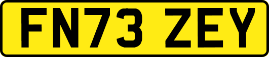 FN73ZEY