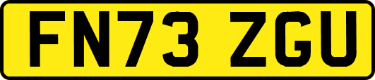 FN73ZGU