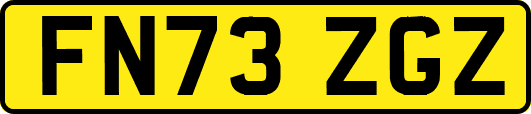 FN73ZGZ