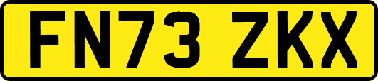 FN73ZKX