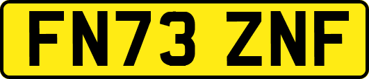 FN73ZNF